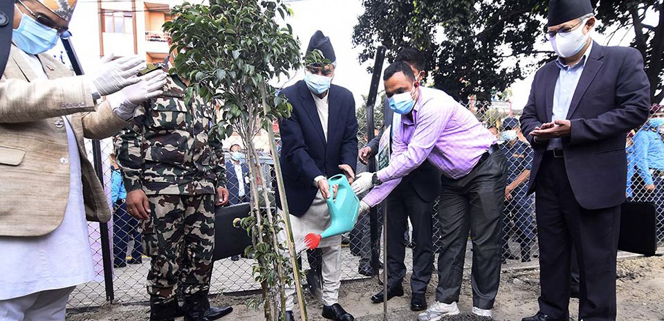 pm-deuba-kicks-off-plantation-campaign