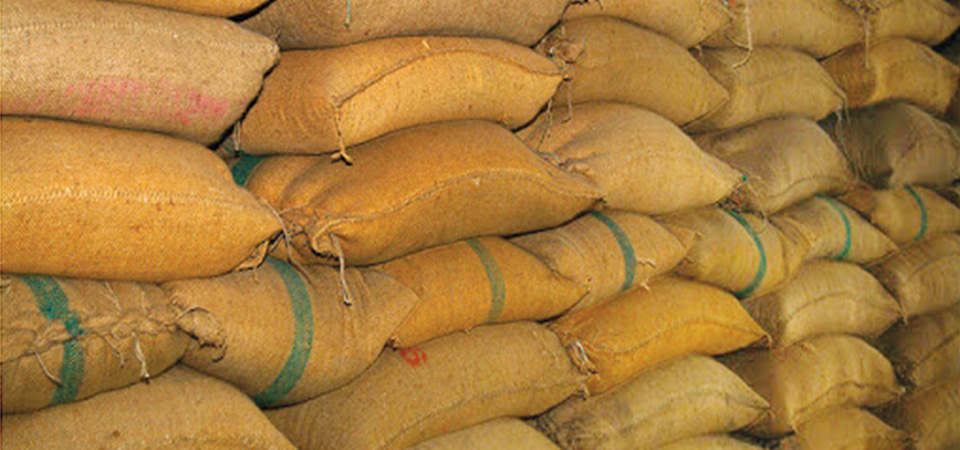 govt-raises-minimum-support-price-of-paddy