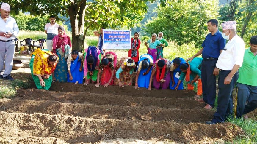 baitadi-women-begin-community-potato-farming