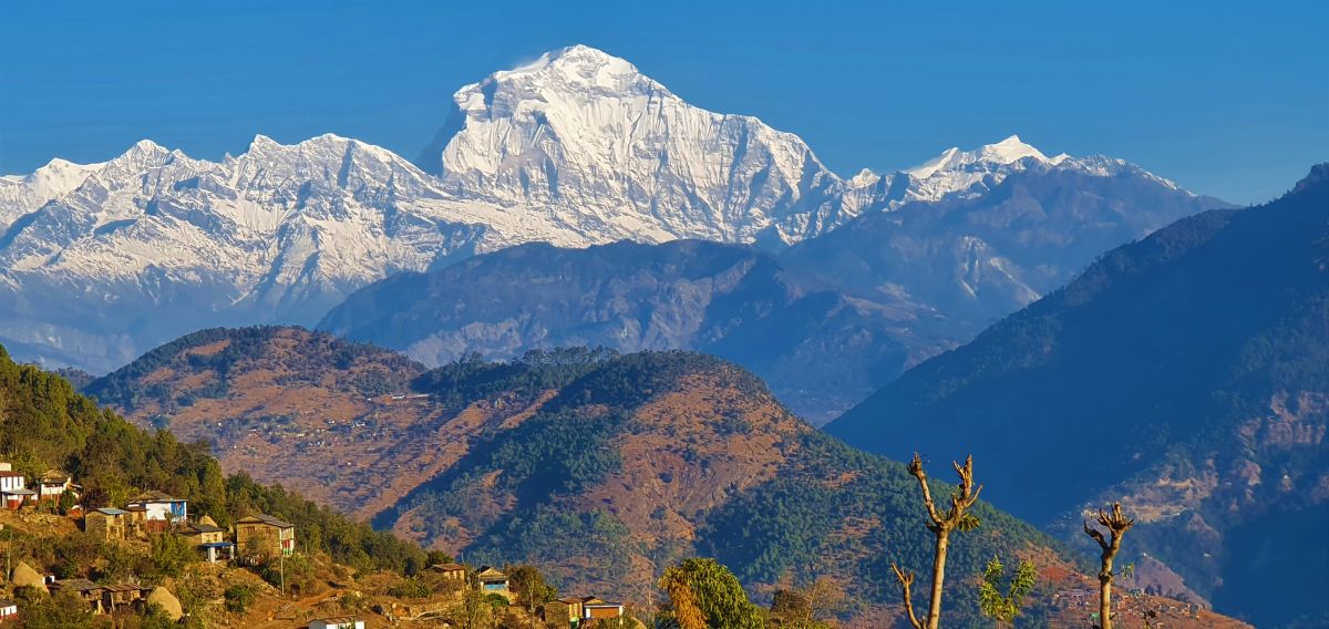 in-historic-first-photo-journalist-shrestha-among-two-nepali-women-scale-mt-dhawalagiri