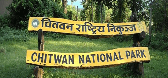 tourism-activities-open-in-chitwan-national-park