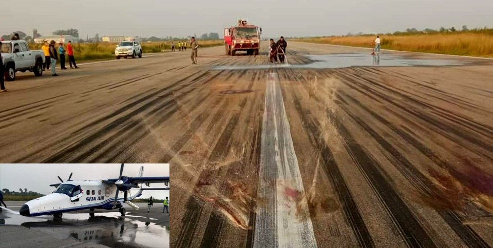 plane-hits-warthog-on-runway