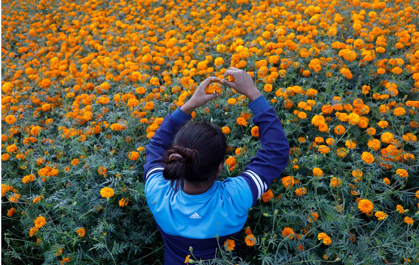 tihar-festival-begins