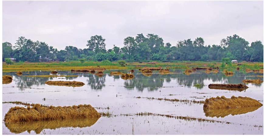 relief-to-be-provided-to-farmers-based-on-the-extent-of-damage-to-their-crop