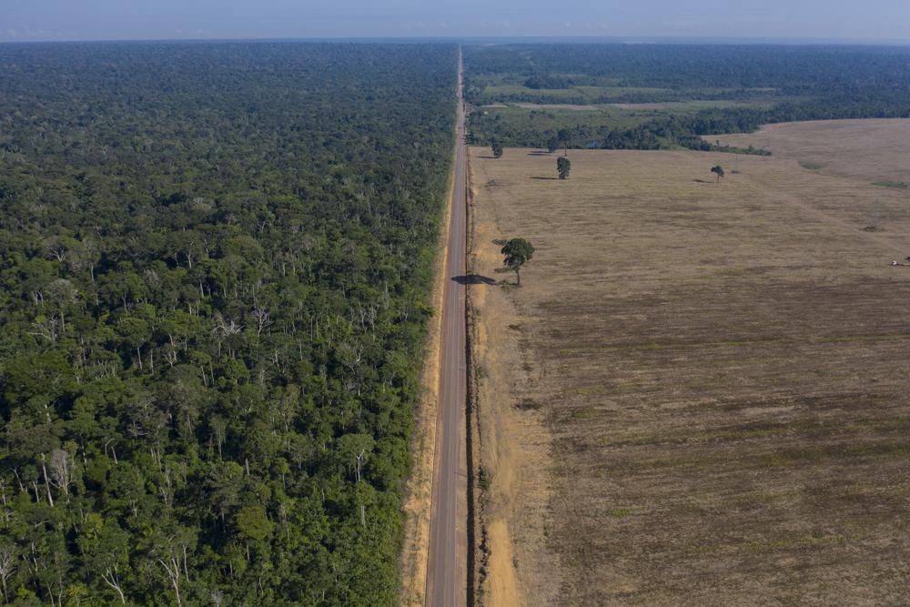 brazils-amazon-deforestation-surges-to-worst-in-15-years