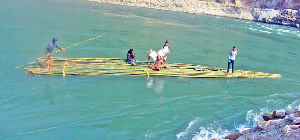 risking-lives-in-koshi-to-transport-bamboo