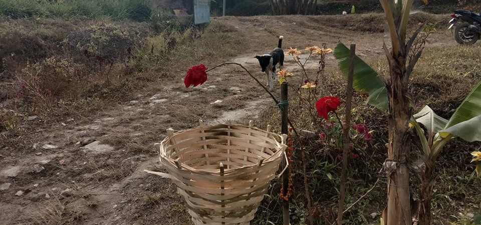 ilams-rong-village-using-eco-friendly-dustbins