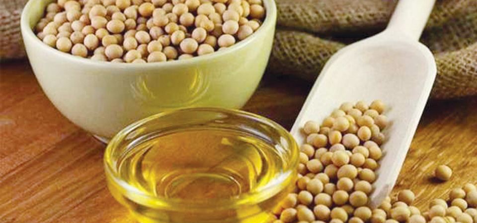 soyabean-oil-emerges-from-nowhere-to-boost-export-forex-reserve