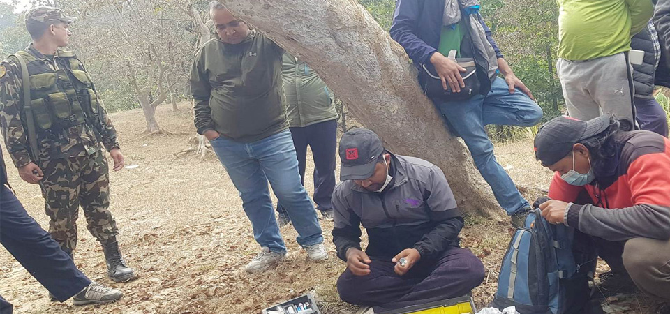 technical-team-follows-tigers-footprints-in-banke-village