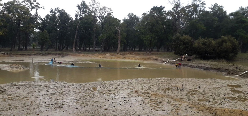 kailalis-wetlands-disappearing