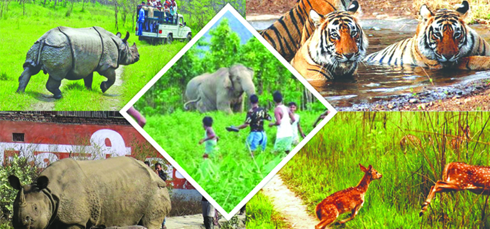 wildlife-officials-of-nepal-india-meet-for-ideas-sharing