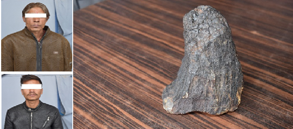 police-nabs-two-in-possession-of-rhino-horn