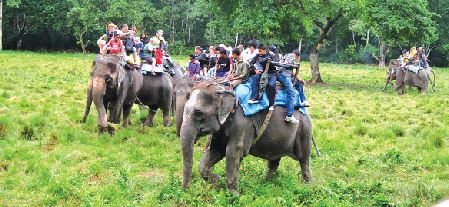 the-complicated-business-of-saving-elephant-tourism