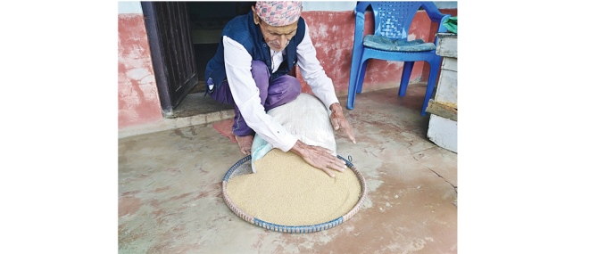 restoring-local-wild-rice-benefits-farmers