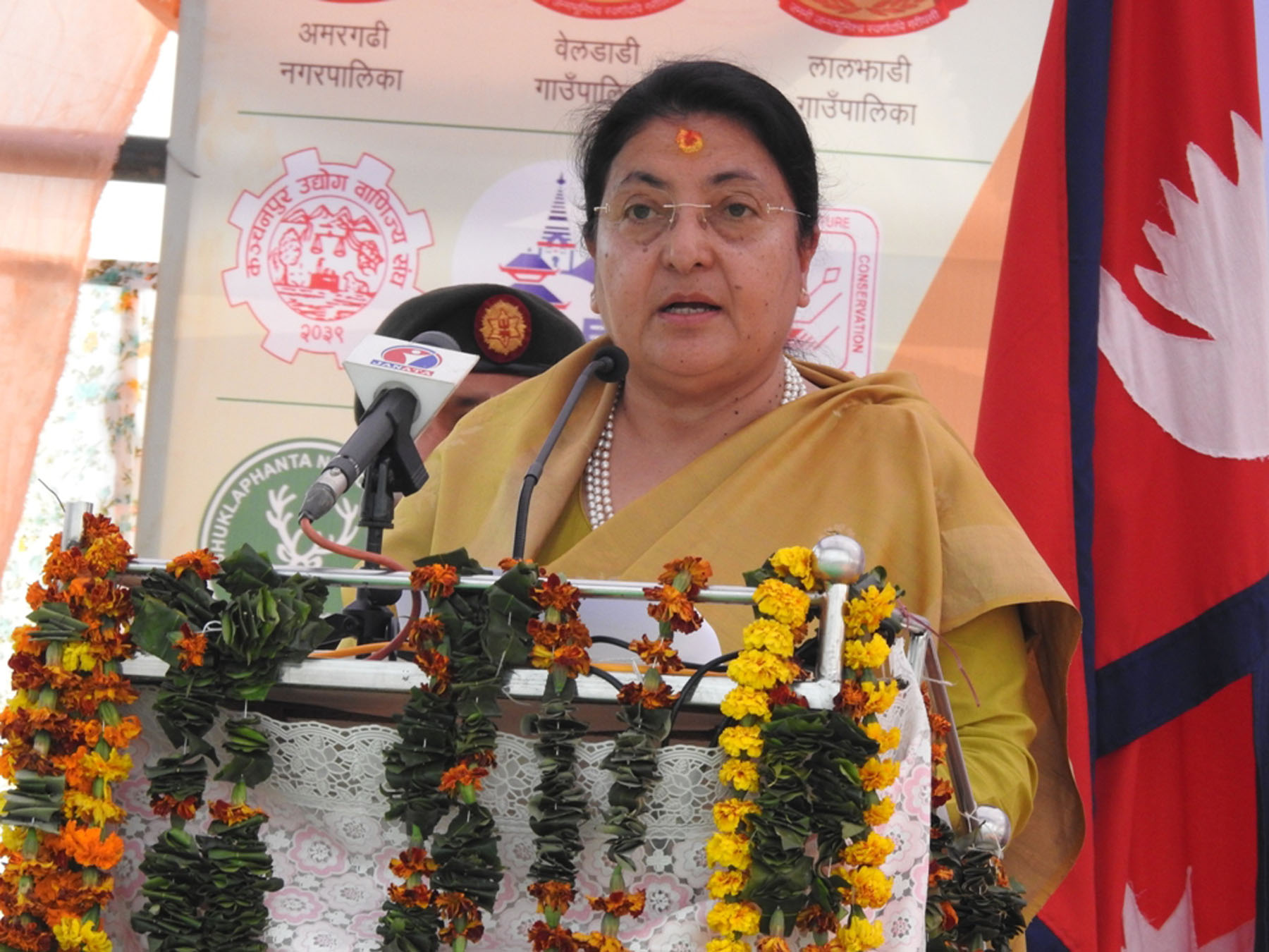 dry-port-motorable-bridge-needed-for-development-president-bhandari