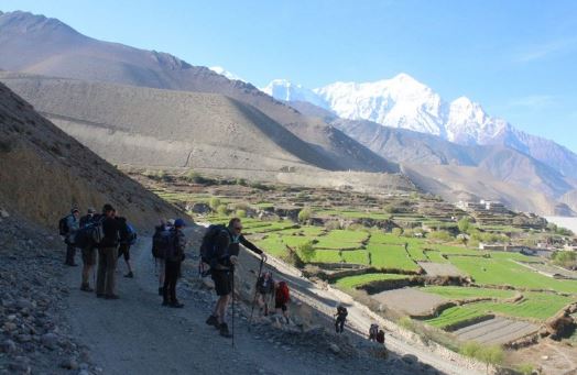 121-foreign-tourists-rescued-68-still-stuck-in-mustang