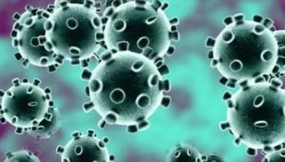 committee-formed-against-coronavirus-outbreak