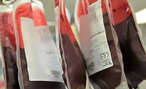 jhapa-red-cross-urges-for-blood-donation