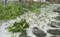 rain-hailstone-damage-property-worth-million-rupees