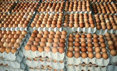 poultry-farmers-worried-over-dwindling-business