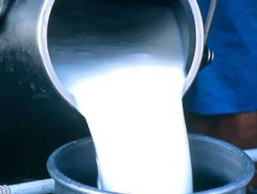 milk-consumption-down-20-per-cent-being-distributed-cost-free-at-few-quarantines