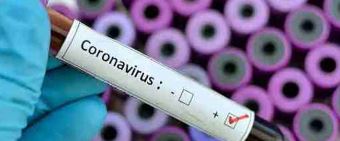 state-1-reports-coronavirus-infection-in-29-persons-so-far