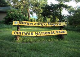 lockdown-comes-as-boon-to-wildlife-in-chitwan-national-park