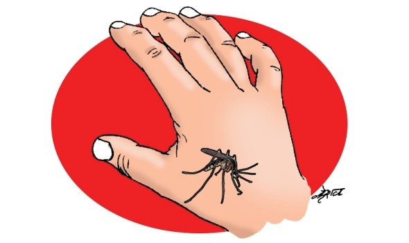 myagdi-reports-three-dengue-cases-on-single-day