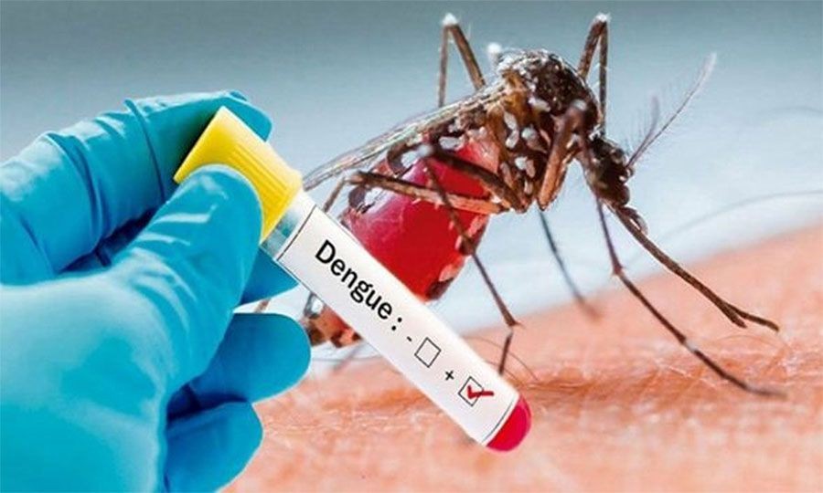 13-year-old-infected-with-dengue-cases-reach-10