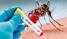 27-cases-of-dengue-in-gandaki-state