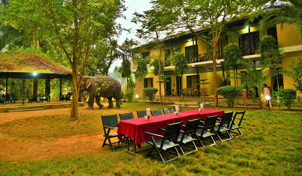hotels-in-sauraha-ready-to-welcome-guests