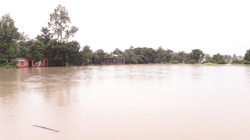 floods-damage-55-houses-in-dhangadhi