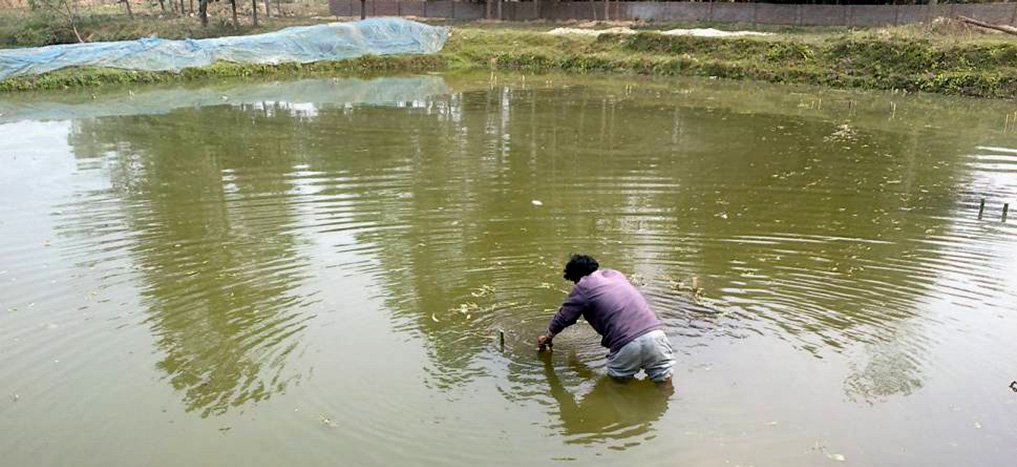 three-of-a-family-drown-in-a-fish-pond-in-morang