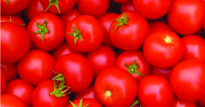 tomato-price-soars-rs-130-per-kg-in-retail