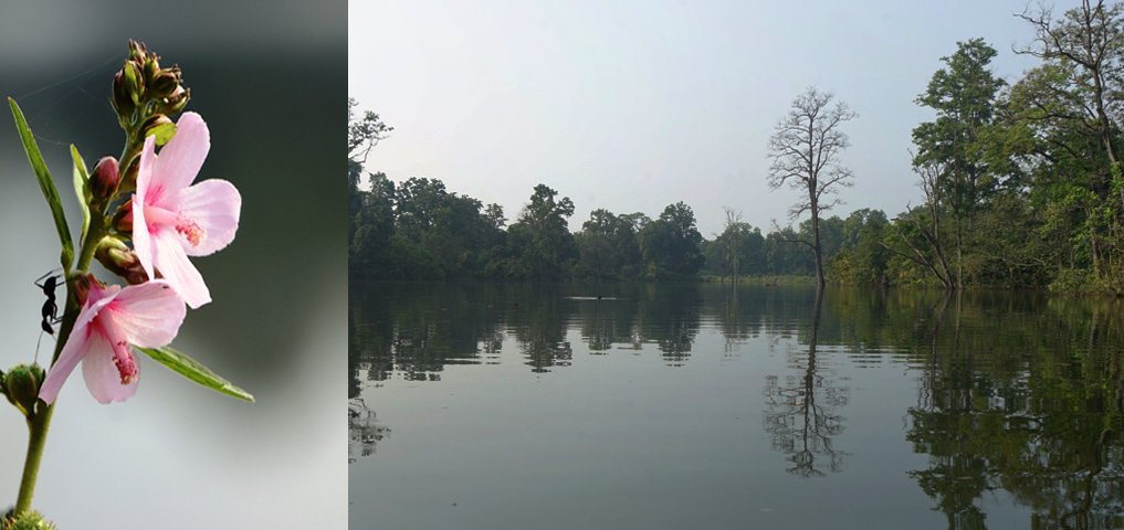 beautiful-satkhaluwa-lake-in-bardiya-photo-feature