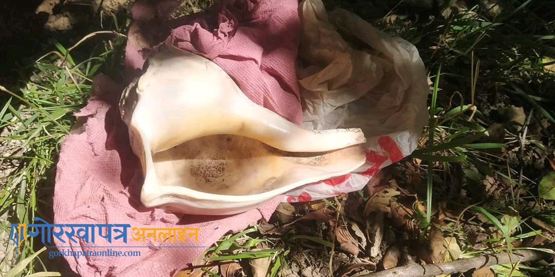 highly-valuable-conch-of-chandannath-detected-after-four-years