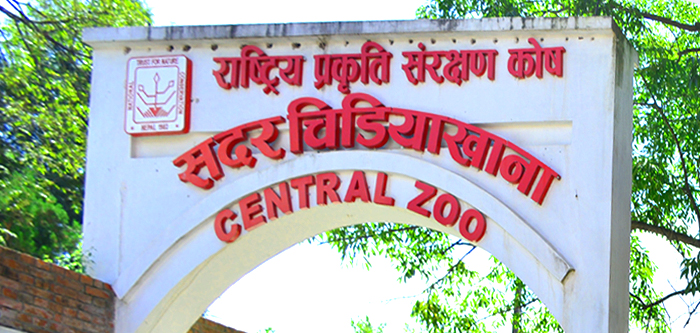 lalitpur-metropolis-gives-rs-1m-to-central-zoo