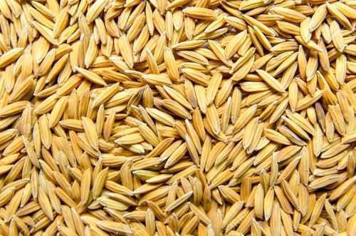 farmers-to-get-relief-as-govt-set-support-value-of-paddy-grains-in-time