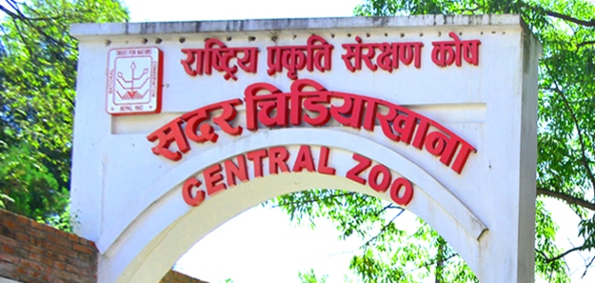 central-zoo-to-reopen-from-today