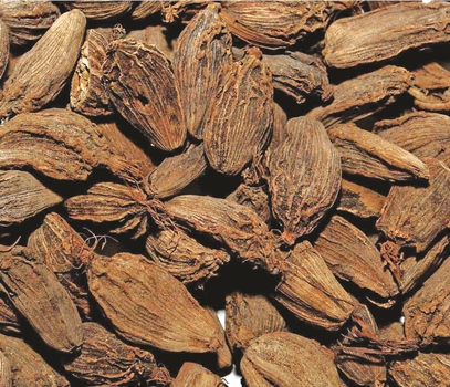cardamom-export-records-worth-rs-3bn-in-five-months