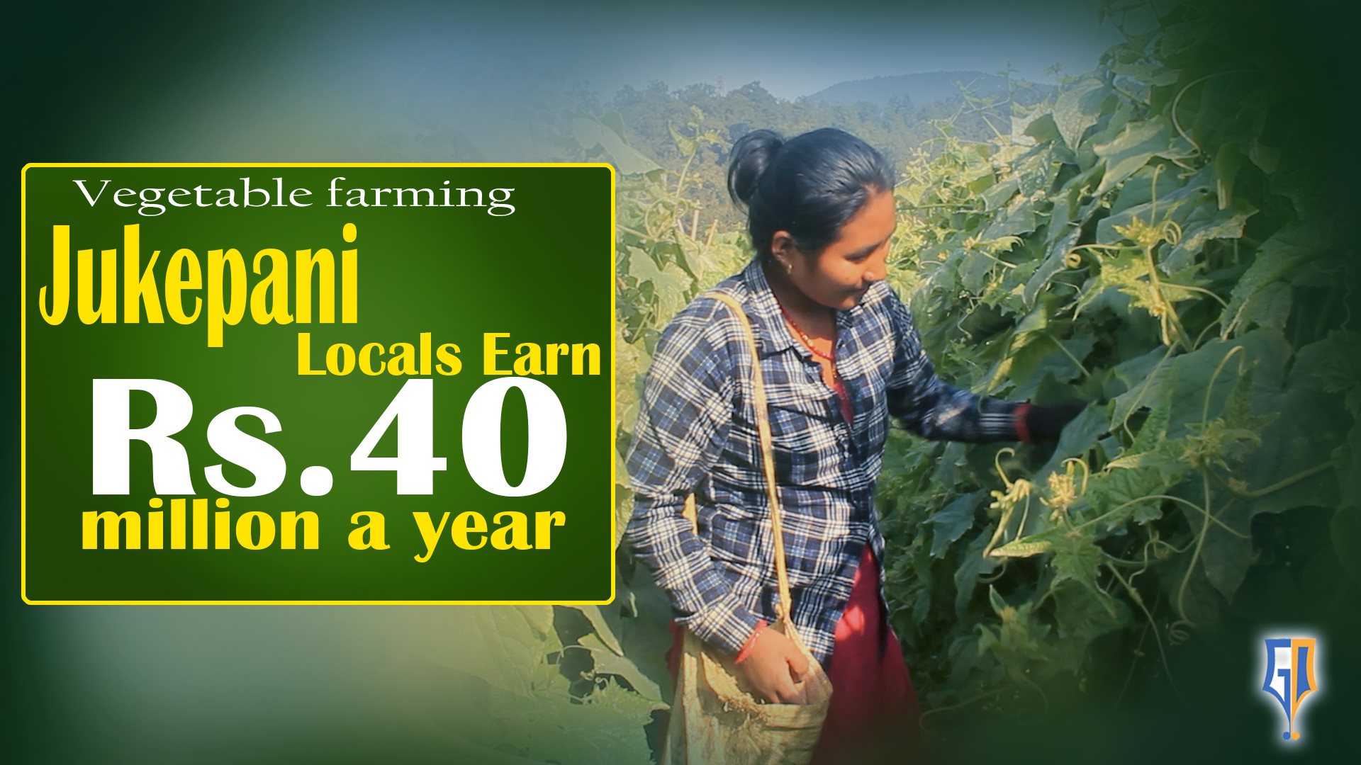 vegetable-farming-jukepani-locals-earn-rs-40-million-a-year