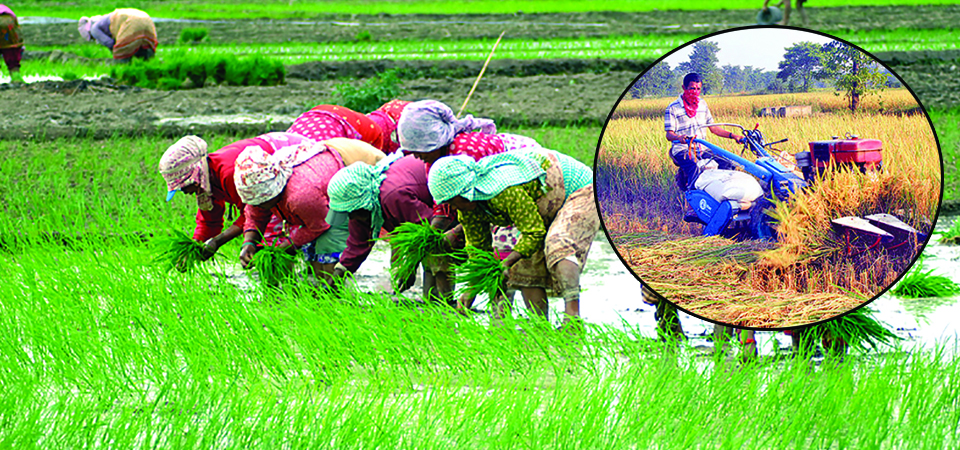 laudable-efforts-to-revitalise-agriculture