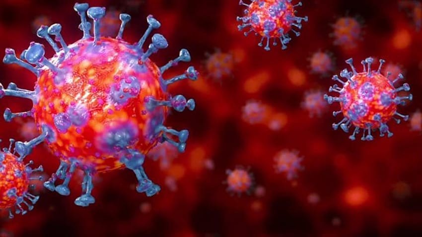 four-new-variants-of-coronavirus-found