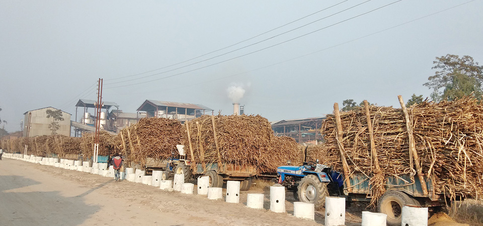 mahalaxmi-sugar-mill-closes-without-paying-farmers