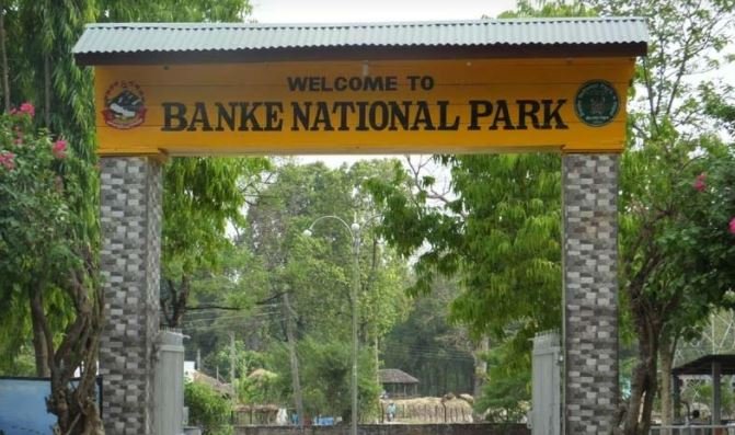 vehicles-crush-354-wild-animals-of-banke-national-park-in-seven-years