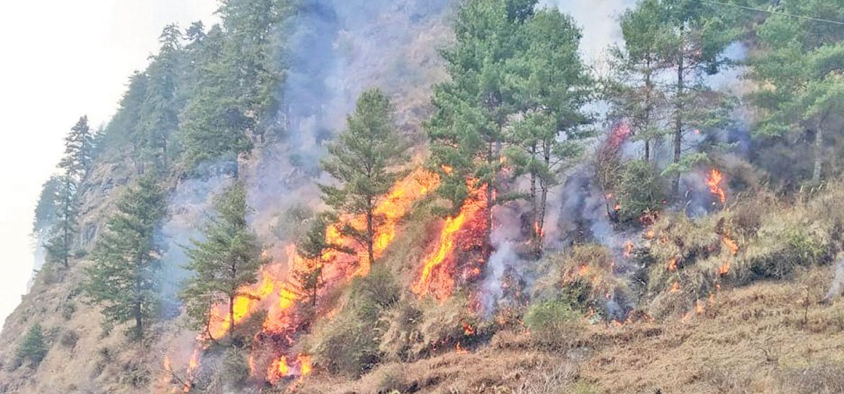 forest-fire-continues-unabated-in-okhaldhunga