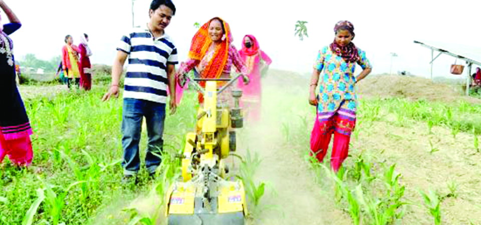 nepali-agriculture-from-manual-labour-to-mechanisation