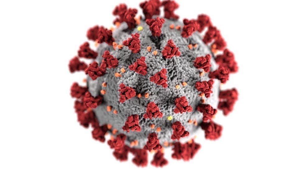 coronavirus-double-mutant-covid-variant-found-in-india