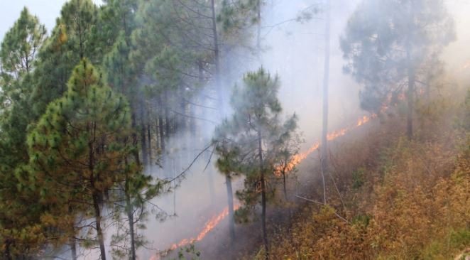 fire-spreading-in-sarlahi-forests