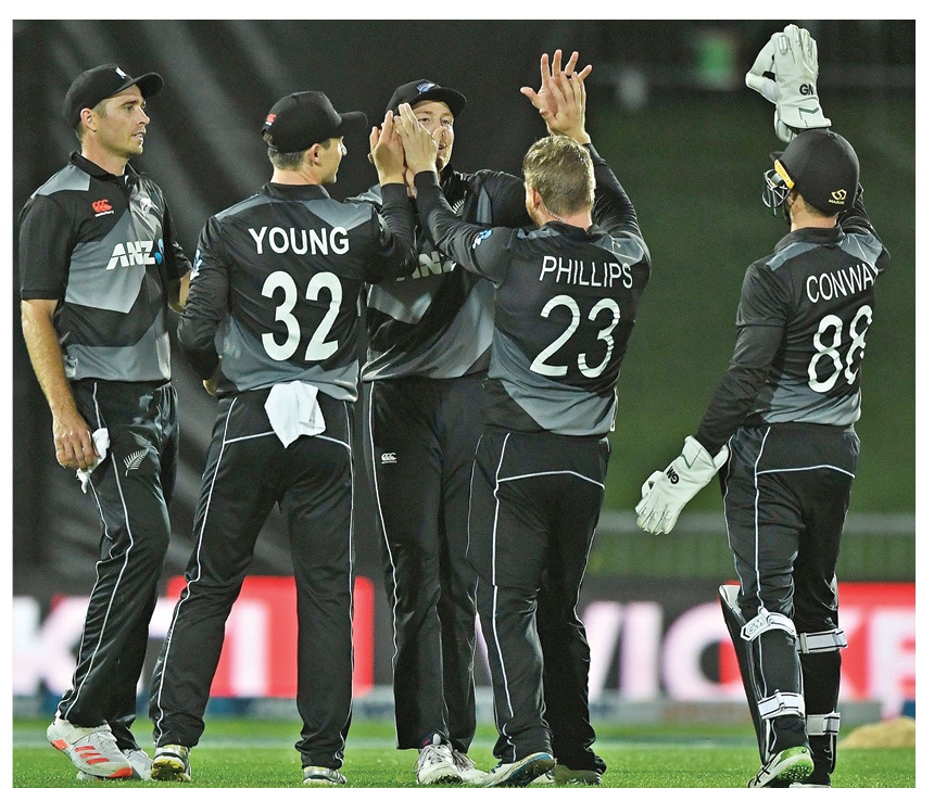 new-zealand-seal-t20-series